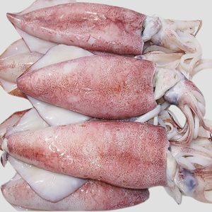 Whole Squid