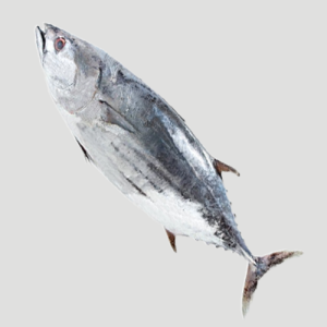 Tuna