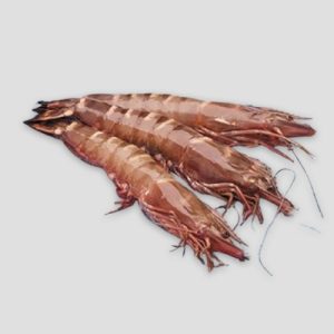 Ex Large Prawns